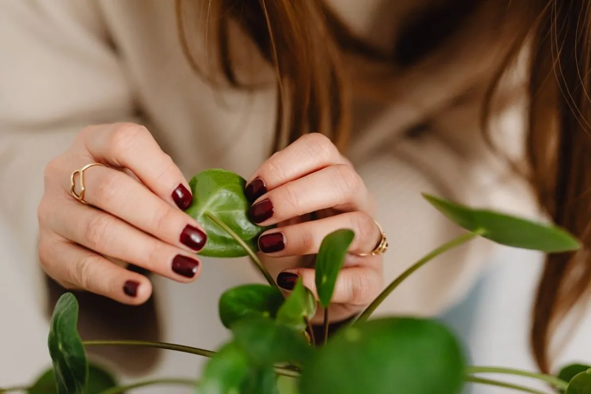 Le Vu Nails Karlshamn