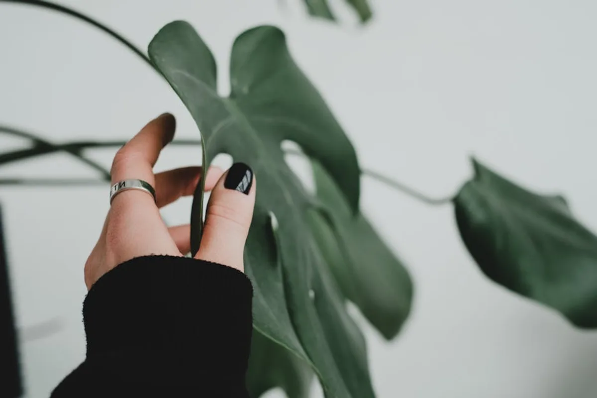 My Nails & Beauty Viersen